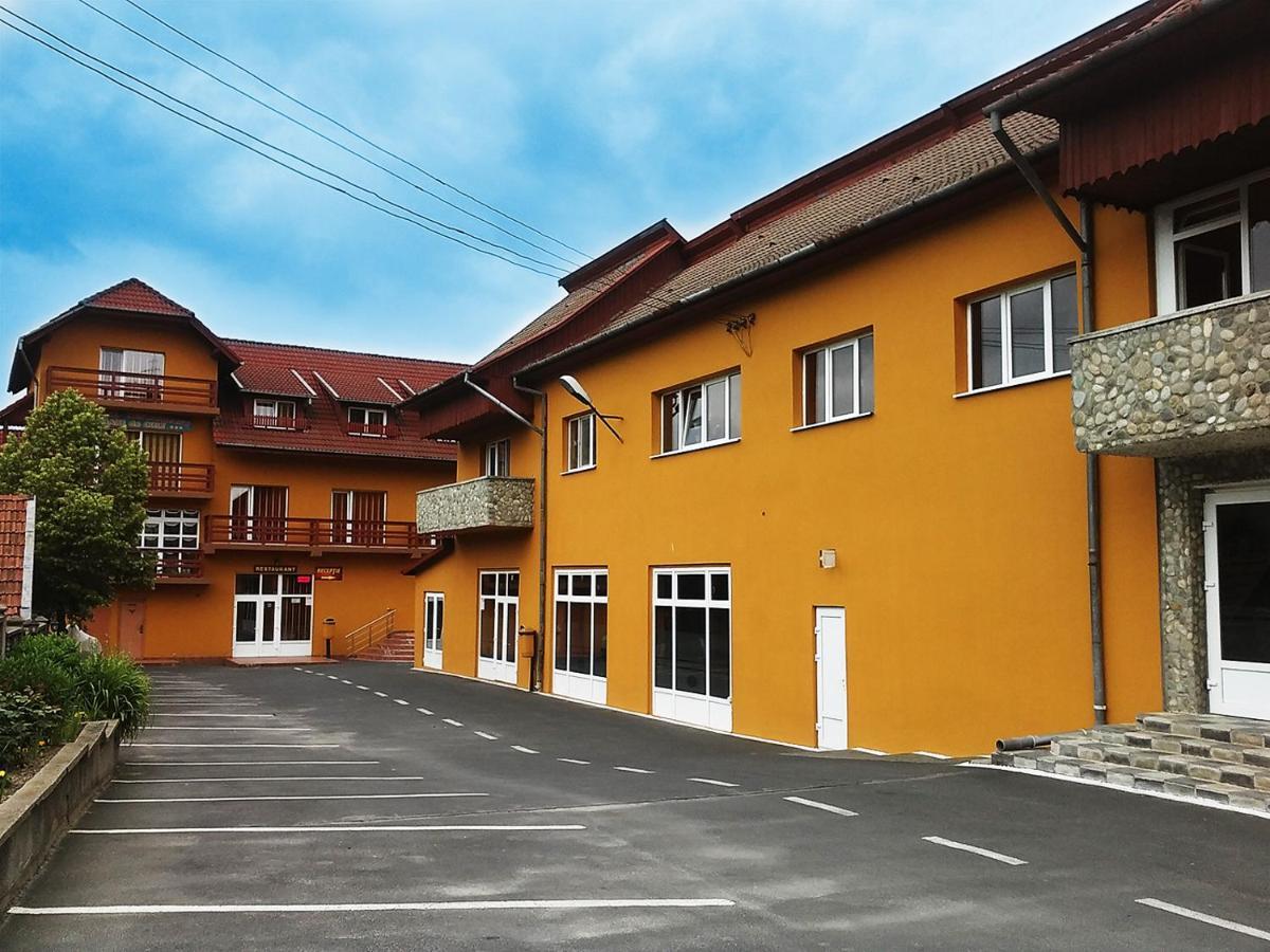 Hotel Floare De Colt Petroszany Zewnętrze zdjęcie