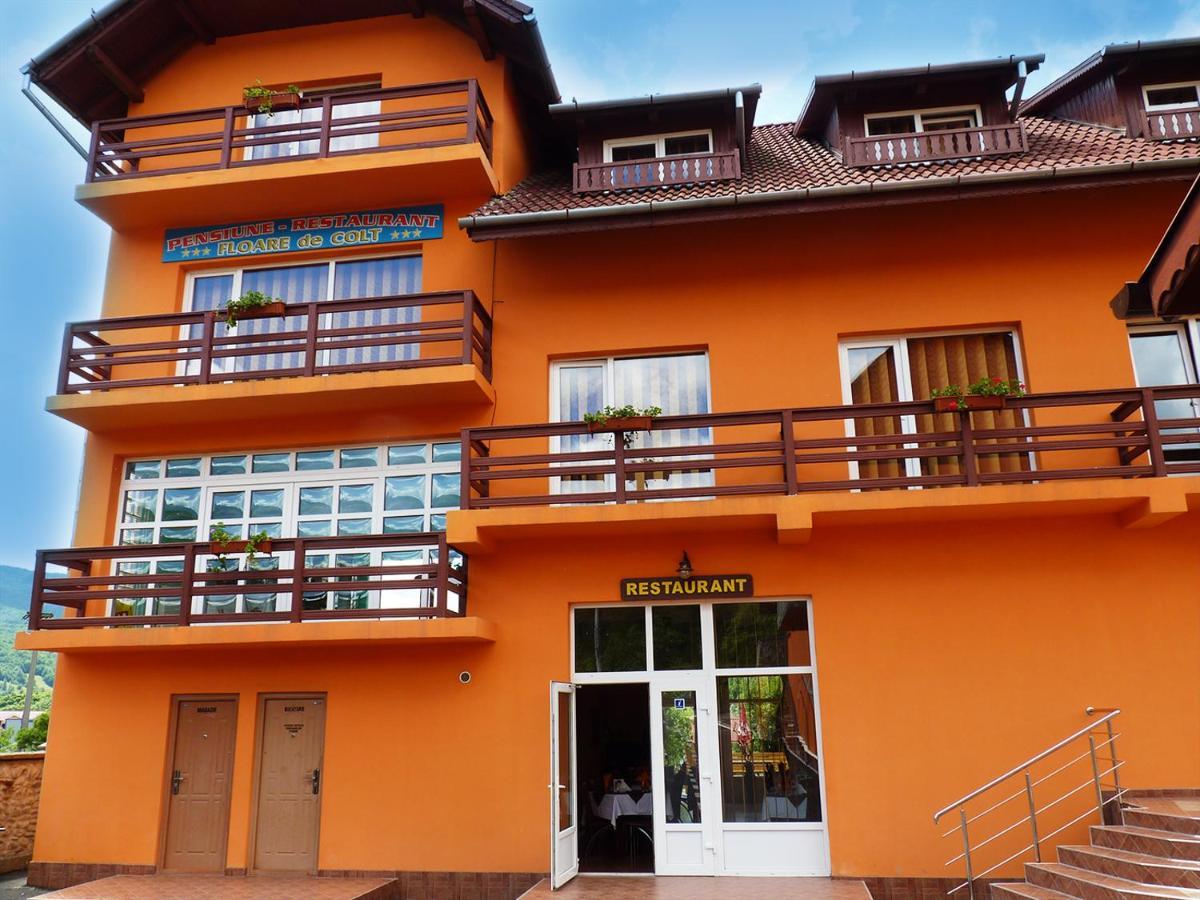 Hotel Floare De Colt Petroszany Zewnętrze zdjęcie
