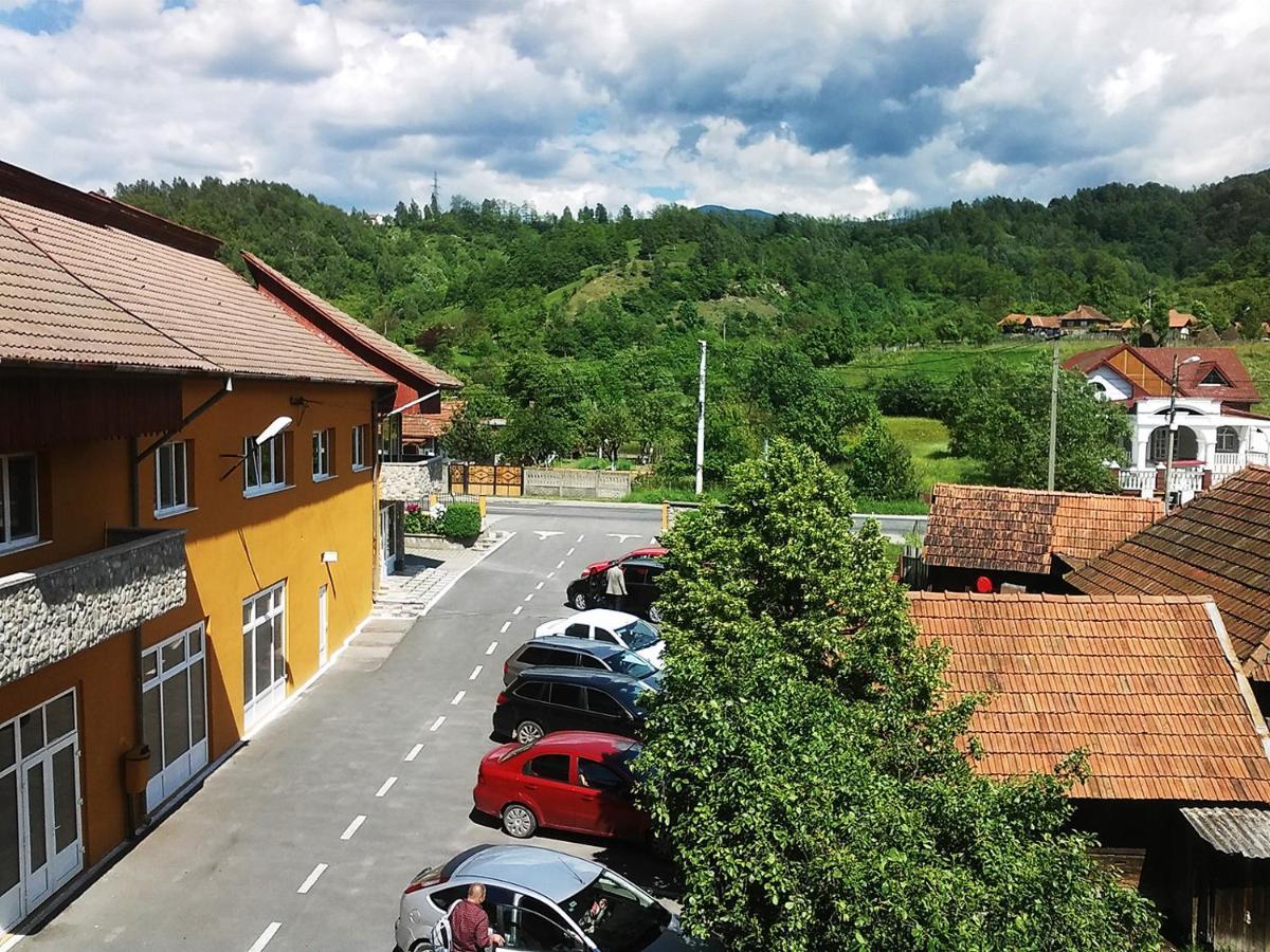 Hotel Floare De Colt Petroszany Zewnętrze zdjęcie