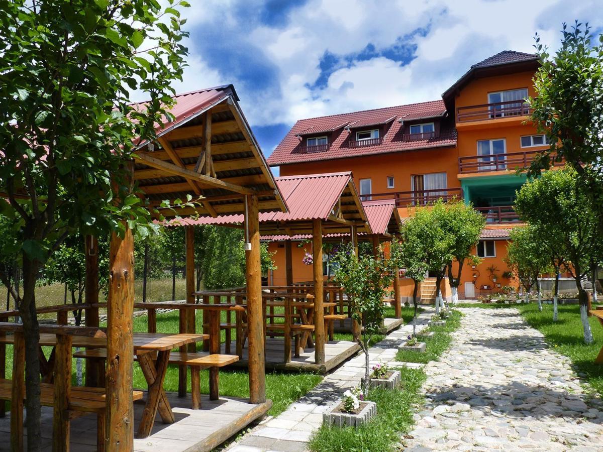Hotel Floare De Colt Petroszany Zewnętrze zdjęcie