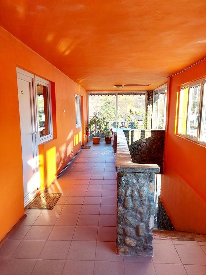 Hotel Floare De Colt Petroszany Zewnętrze zdjęcie