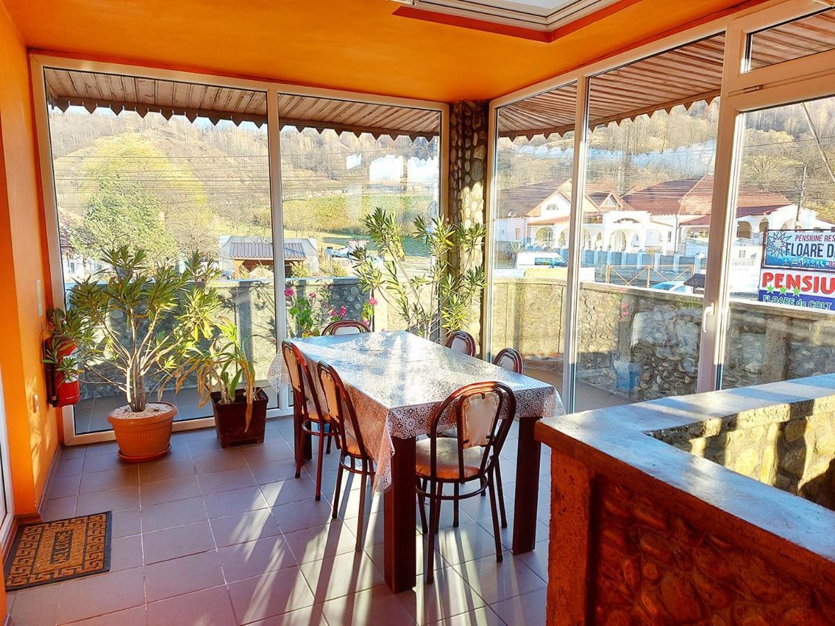 Hotel Floare De Colt Petroszany Zewnętrze zdjęcie