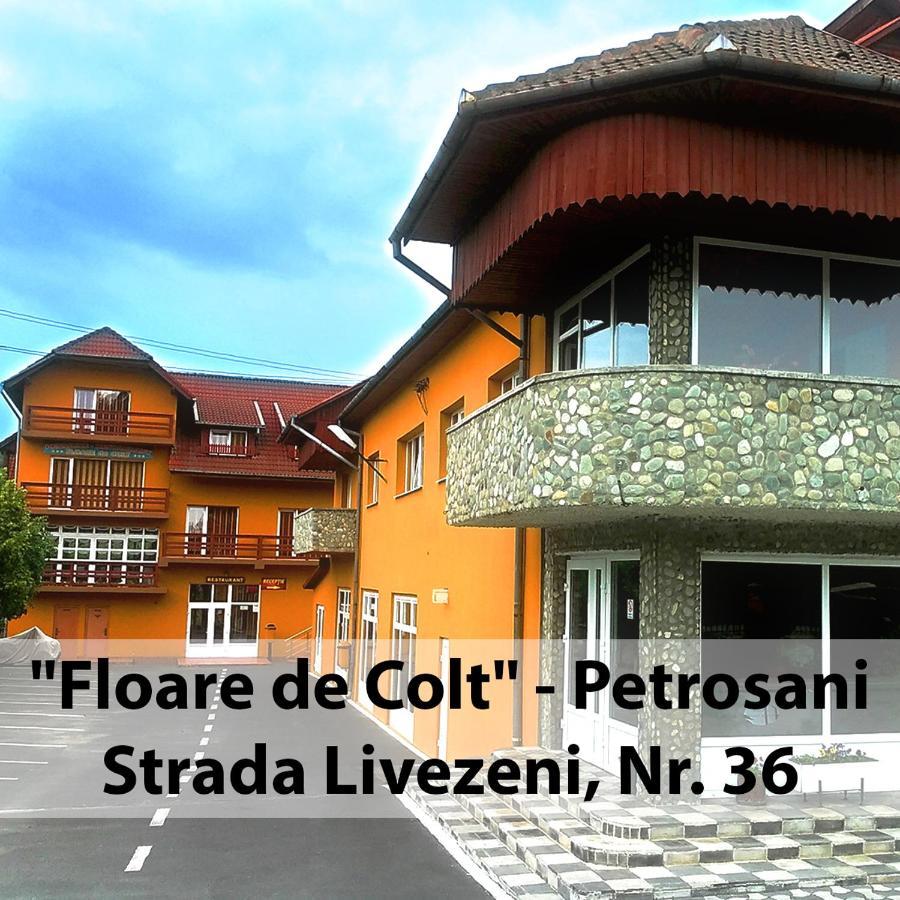 Hotel Floare De Colt Petroszany Zewnętrze zdjęcie