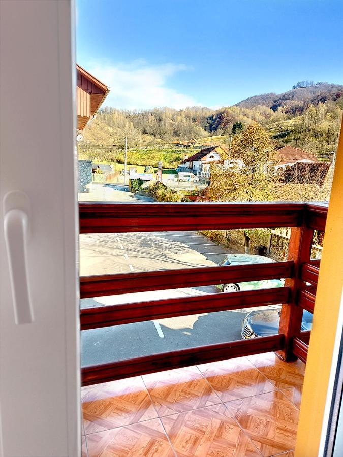 Hotel Floare De Colt Petroszany Zewnętrze zdjęcie