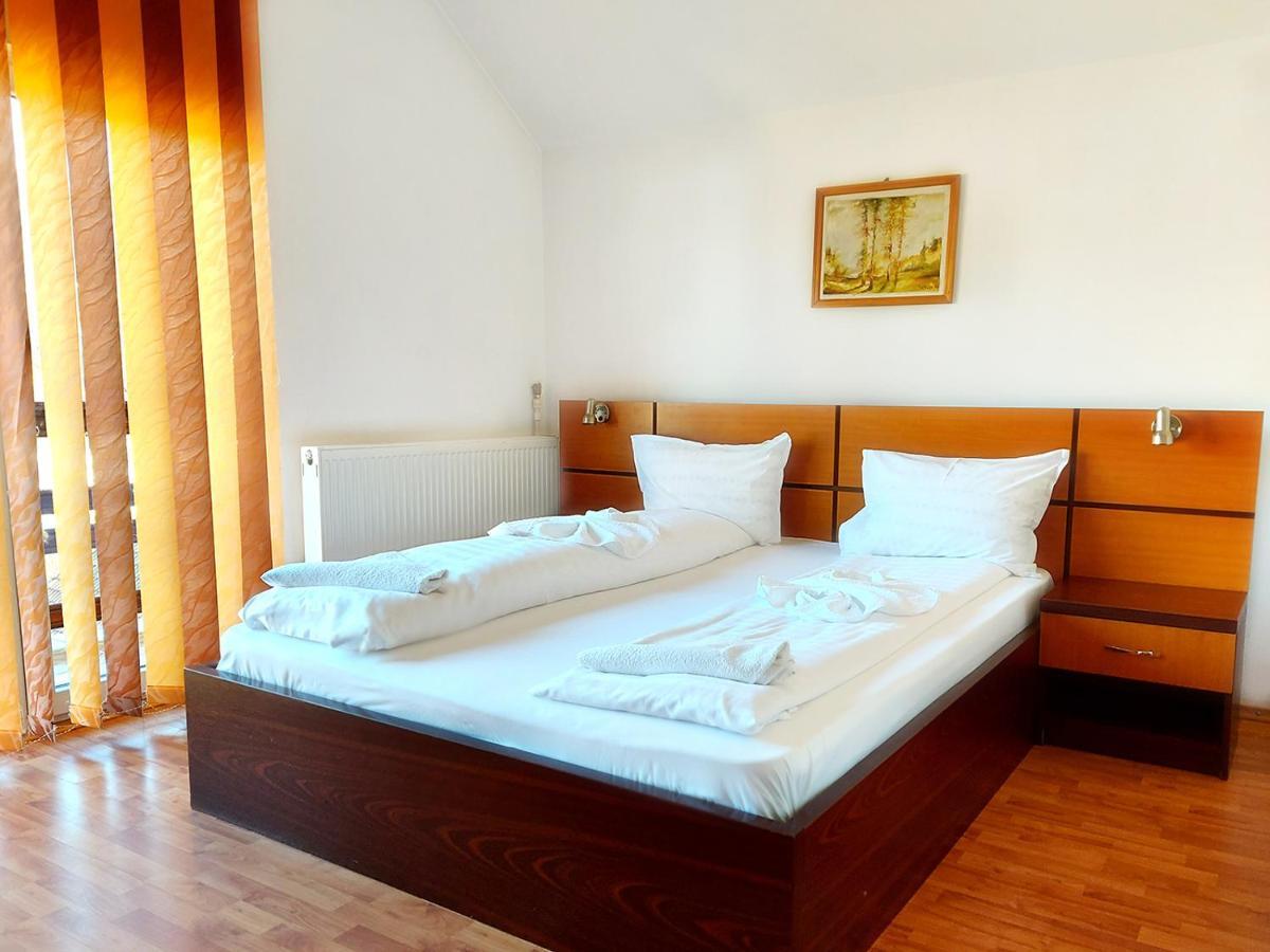 Hotel Floare De Colt Petroszany Zewnętrze zdjęcie