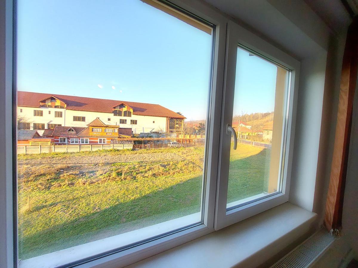 Hotel Floare De Colt Petroszany Zewnętrze zdjęcie